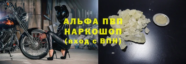 стаф Баксан