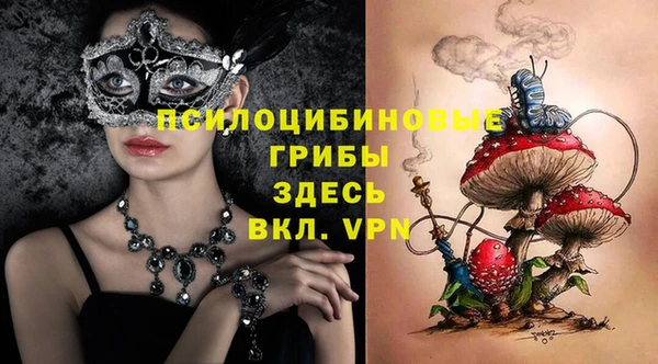 стаф Баксан